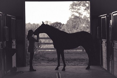 Ranch Apollon