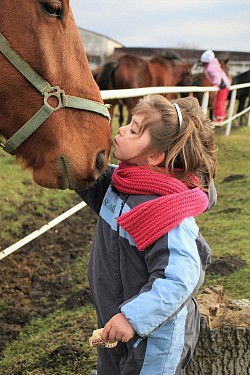 enfant cheval thérapie