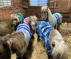Tous en pyjama !